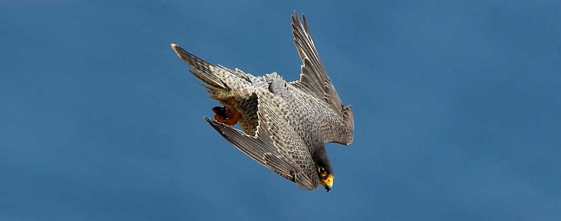 Scopri Come Diminuire Il Costo Pezzo In Fonderia